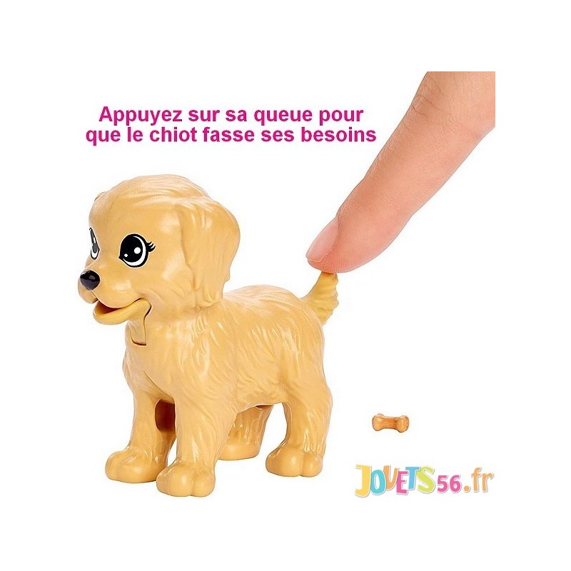 barbie et ses chiens