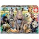 Puzzle photo de classe animaux 300 pieces-lilojouets-morbihan-bretagne