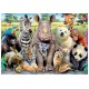 Puzzle photo de classe animaux 300 pieces-lilojouets-morbihan-bretagne