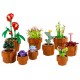 10329 les plantes miniatures - lego icons botanical 758 pieces-lilojouets-morbihan-bretagne