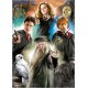 Puzzle personnages harry potter 500 pieces 34x48cm-lilojouets-morbihan-bretagne