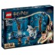 76432 la foret interdite les creatures magiques - lego harry potter-lilojouets-morbihan-bretagne