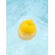 Eclabousseur de bain gaspard le canard-lilojouets-morbihan-bretagne