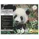 Kit tableau panda 40x50cm broderie diamant sur chassis bois-lilojouets-morbihan-bretagne