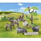 71307 animaux de la ferme playmobil country-lilojouets-morbihan-bretagne