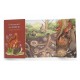 Coffret decouverte animaux du jardin - le jardin du moulin moulin roty-lilojouets-questembert-muzillac-morbihan