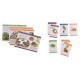 Coffret decouverte animaux du jardin - le jardin du moulin moulin roty-lilojouets-questembert-muzillac-morbihan