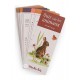 Coffret decouverte animaux du jardin - le jardin du moulin moulin roty-lilojouets-questembert-muzillac-morbihan