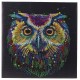 Kit tableau hibou couleur 30x30cm broderie diamant sur chassis bois crystal-lilojouets-questembert-muzillac-morbihan