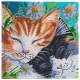 Kit tableau chats dormeurs 30x30cm broderie diamant sur chassis bois crystal-lilojouets-questembert-muzillac-morbihan