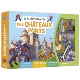 COFFRET A LA DECOUVERTE CHATEAUX FORTS 60 MAGNETS LIVRE ET PLATEAU AIMANTE-LiloJouets-Questembert-Muzillac-Morbihan