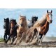 Puzzle chevaux au galop 1000 pieces 68x48cm - trefl-lilojouets-questembert-muzillac-morbihan