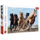 Puzzle chevaux au galop 1000 pieces 68x48cm - trefl-lilojouets-questembert-muzillac-morbihan