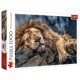 Puzzle lion dormant 1000 pieces 68x48cm - trefl-lilojouets-questembert-muzillac-morbihan