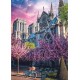 Puzzle notre-dame paris 1000 pieces 48x68cm - trefl-lilojouets-questembert-muzillac-morbihan