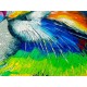 Puzzle chat et papillon 1000 pieces 68x48cm - enjoy puzzle-lilojouets-questembert-muzillac-morbihan